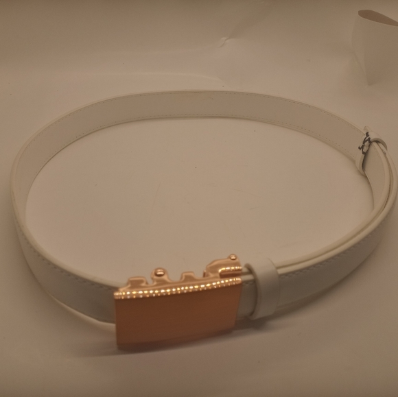 Mission Rose Gold Belt - Picture 7 of 12